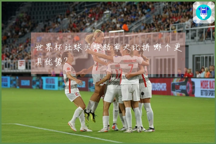 世界杯让球买球赔率大比拼 哪个更具优势？