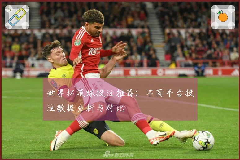 世界杯滚球投注推荐：不同平台投注数据分析与对比