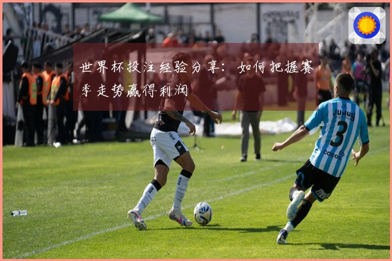 世界杯投注经验分享：如何把握赛季走势赢得利润