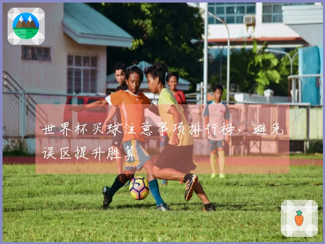 世界杯买球注意事项排行榜，避免误区提升胜算