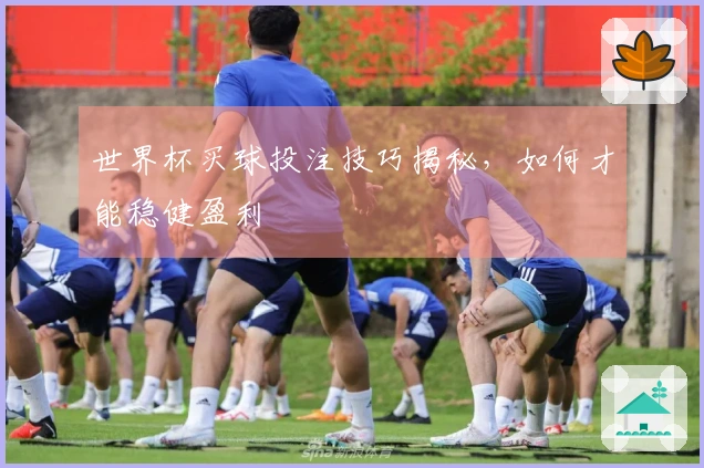 世界杯买球投注技巧揭秘，如何才能稳健盈利