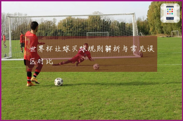 世界杯让球买球规则解析与常见误区对比
