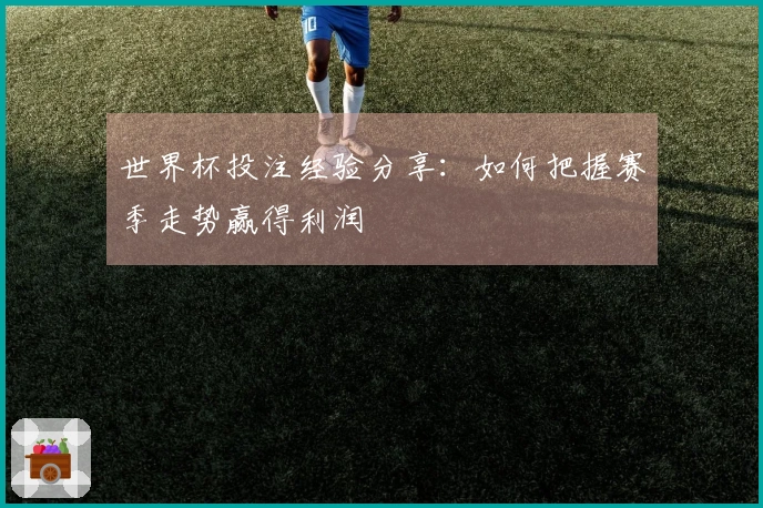 世界杯投注经验分享：如何把握赛季走势赢得利润