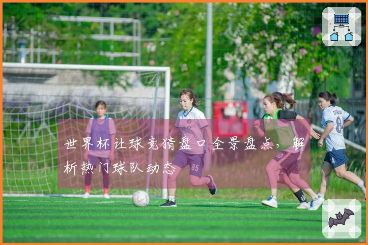 世界杯让球竞猜盘口全景盘点，解析热门球队动态
