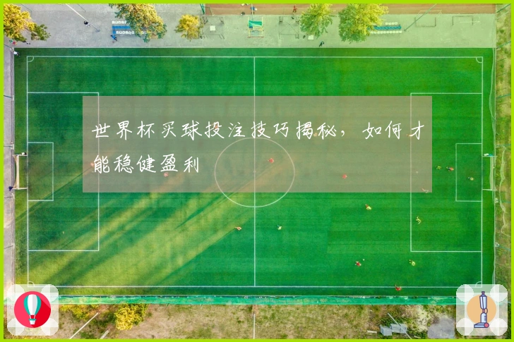 世界杯买球投注技巧揭秘，如何才能稳健盈利
