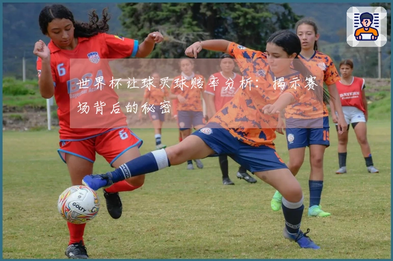 世界杯让球买球赔率分析：揭示赛场背后的秘密