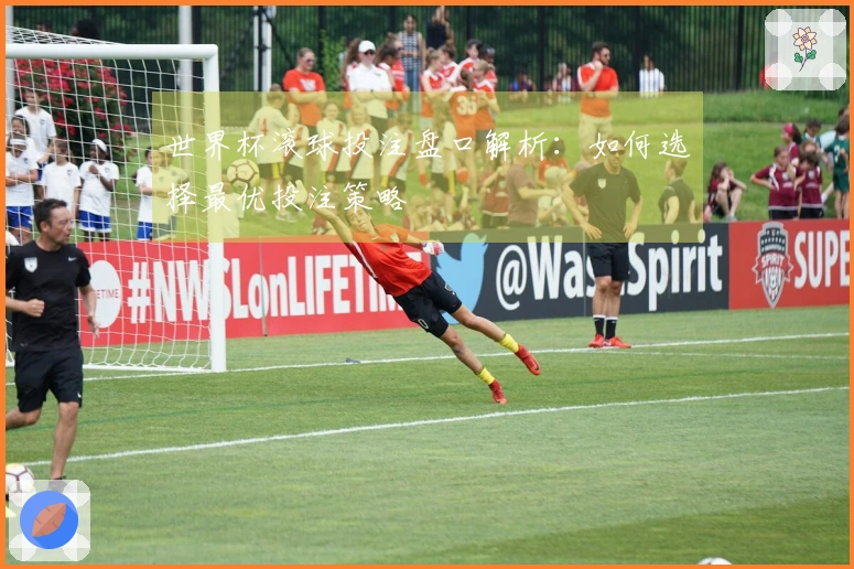 世界杯滚球投注盘口解析：如何选择最优投注策略
